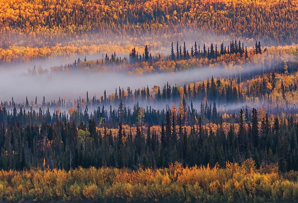 Autumn In Alaska art print by Jenny Qiu for $57.95 CAD