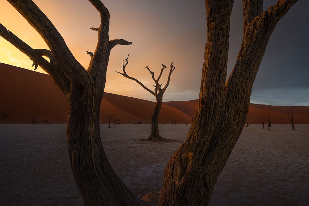 Given Up art print by Ryan Dyar for $57.95 CAD