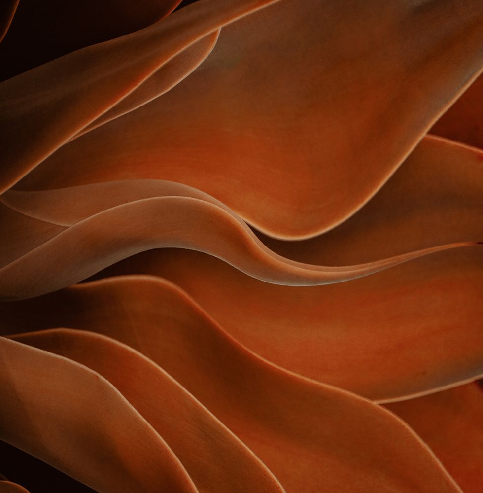Officially Fall art print by Robin Wechsler for $57.95 CAD
