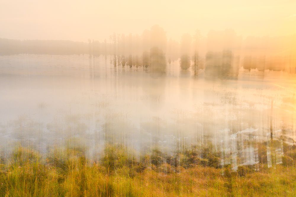 Foggy Morning art print by Ina Bouhuijzen for $57.95 CAD
