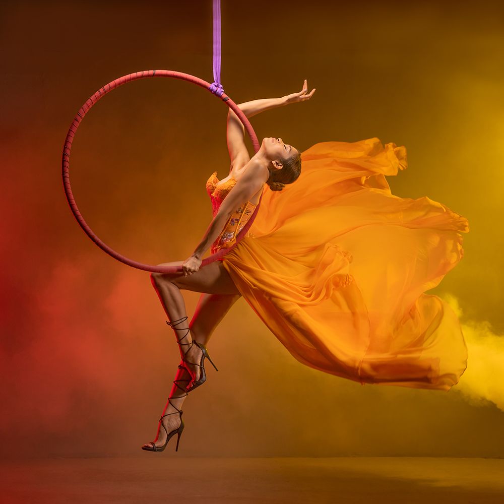 Sally Aerial Hop art print by Lisdiyanto Suhardjo for $57.95 CAD
