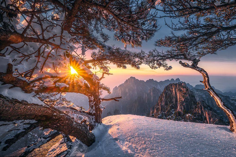 Yellow Mountain And Strange Pine After Snow art print by NingYun Ye for $57.95 CAD