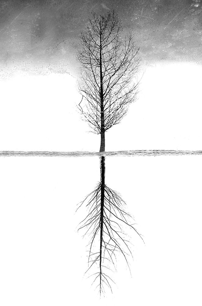 In Search Of Themselves art print by Alessandro Traverso for $57.95 CAD