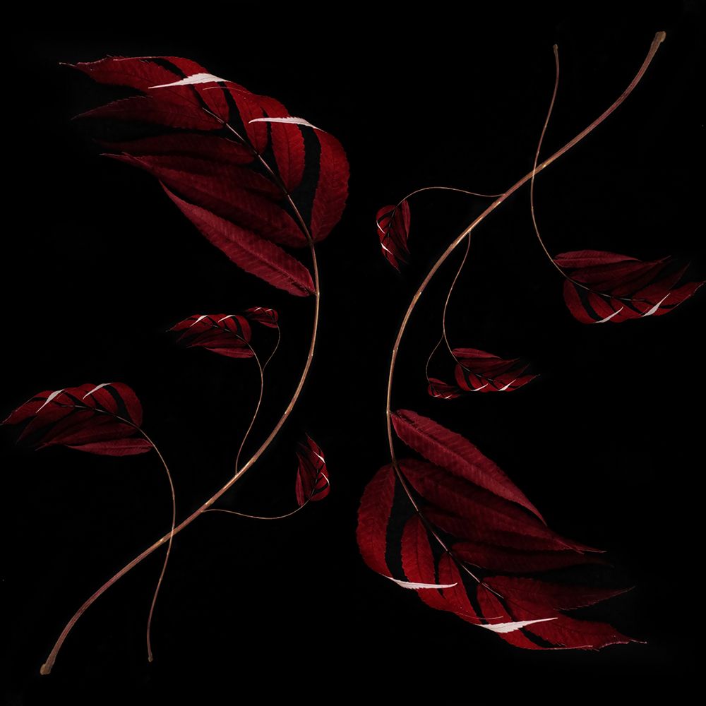 Autumn Leaves art print by Ingrida Urbonaviciene for $57.95 CAD