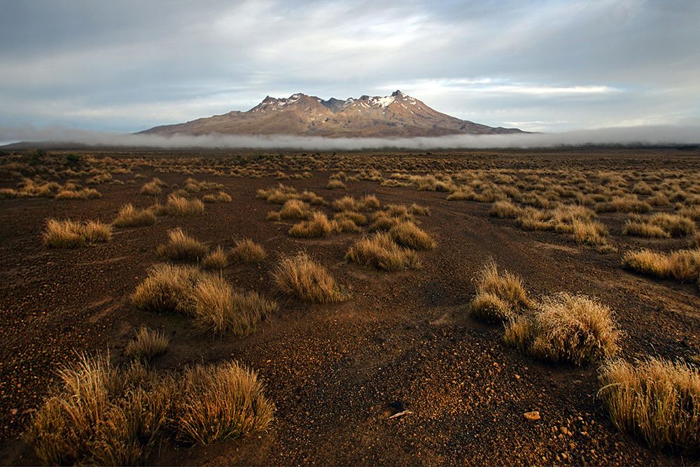 Rangipo Desert art print by Dragan Keca for $57.95 CAD