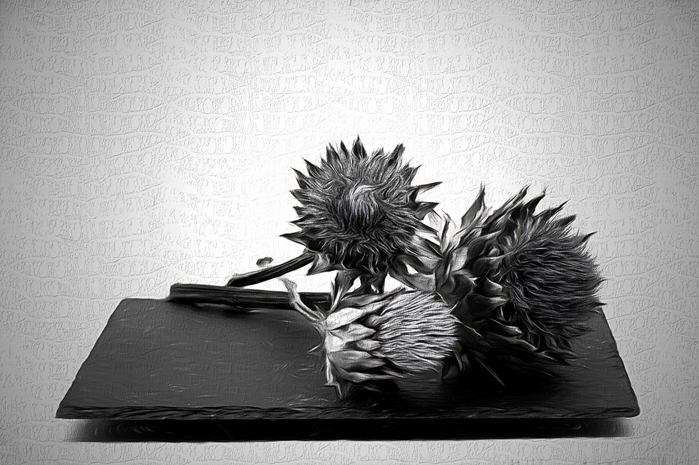 Black Artichoke . art print by Saskia Dingemans for $57.95 CAD