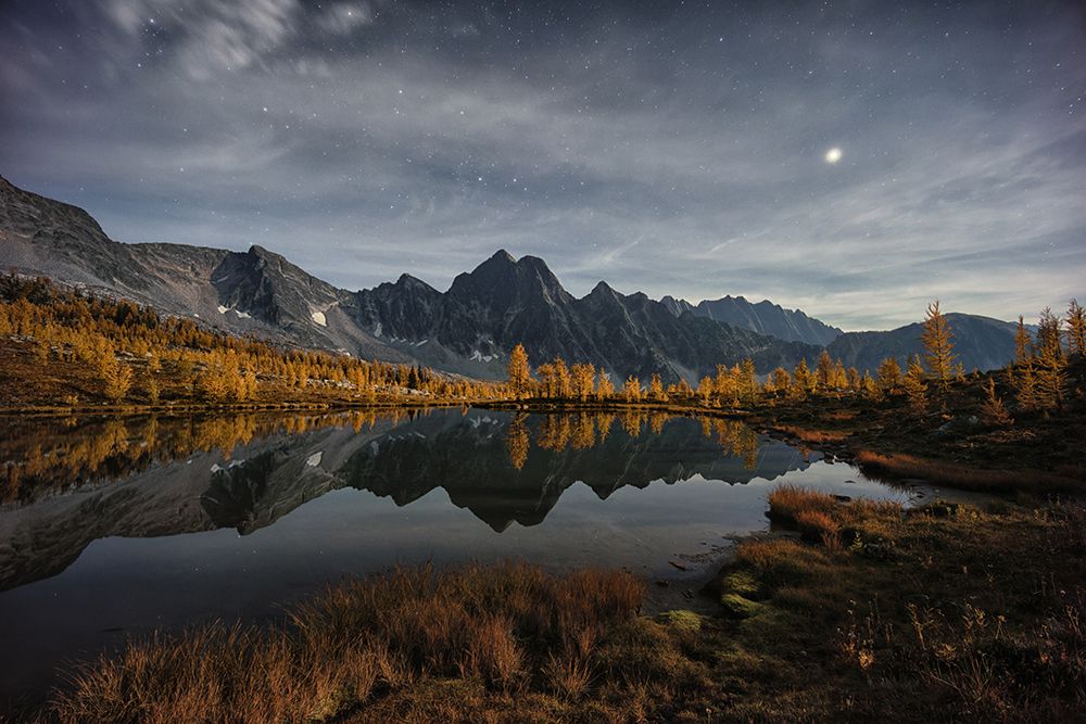 Night Of Autumn art print by Tomomi Yamada for $57.95 CAD