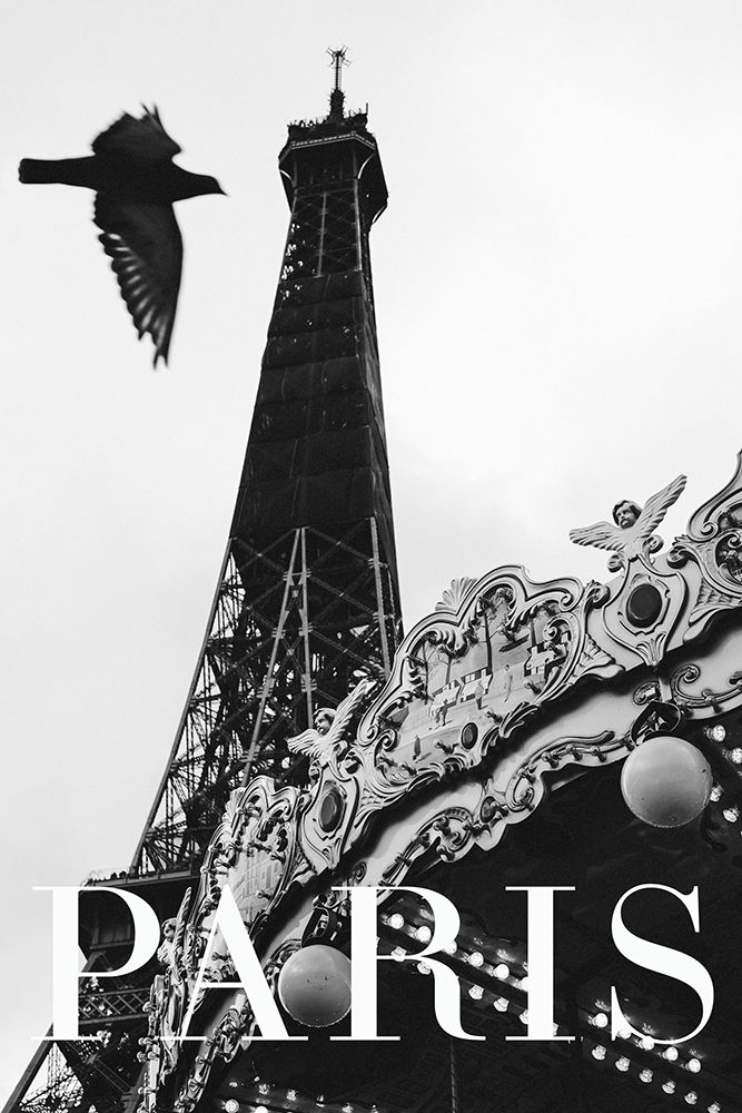 Paris Dove art print by Rikard Martin for $57.95 CAD