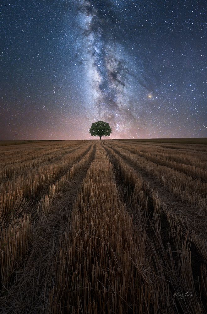 Field art print by NingYun Ye for $57.95 CAD