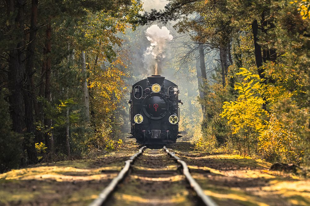Fairytale Train art print by Rafal R. Nebelski for $57.95 CAD