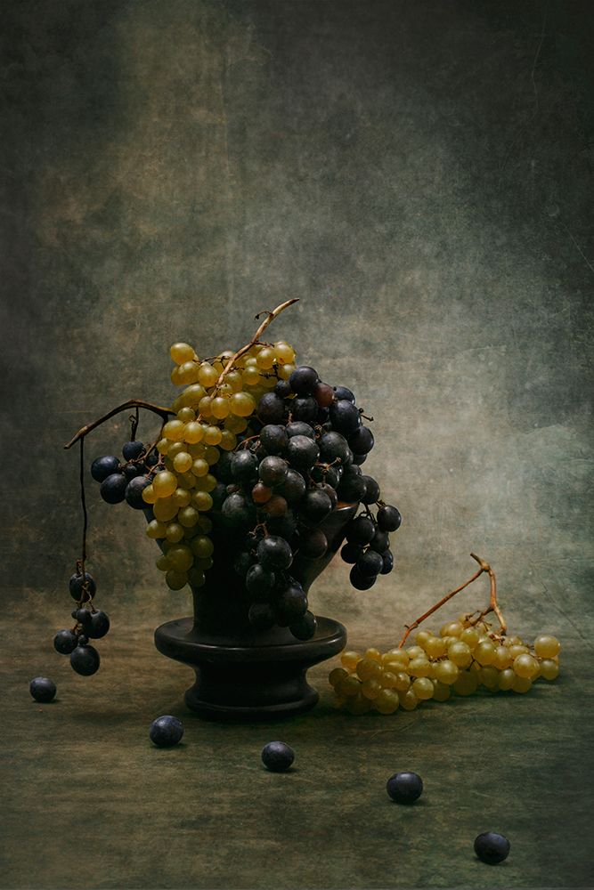 Grape art print by Brig Barkow for $57.95 CAD