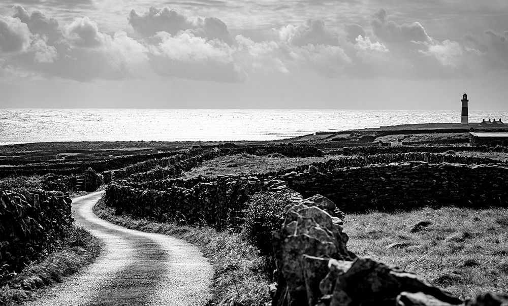 Road To The Shore art print by Tony Galvin for $57.95 CAD