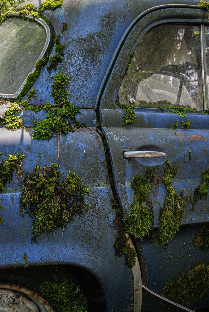 Blue And Moss art print by Ruth Franke for $57.95 CAD