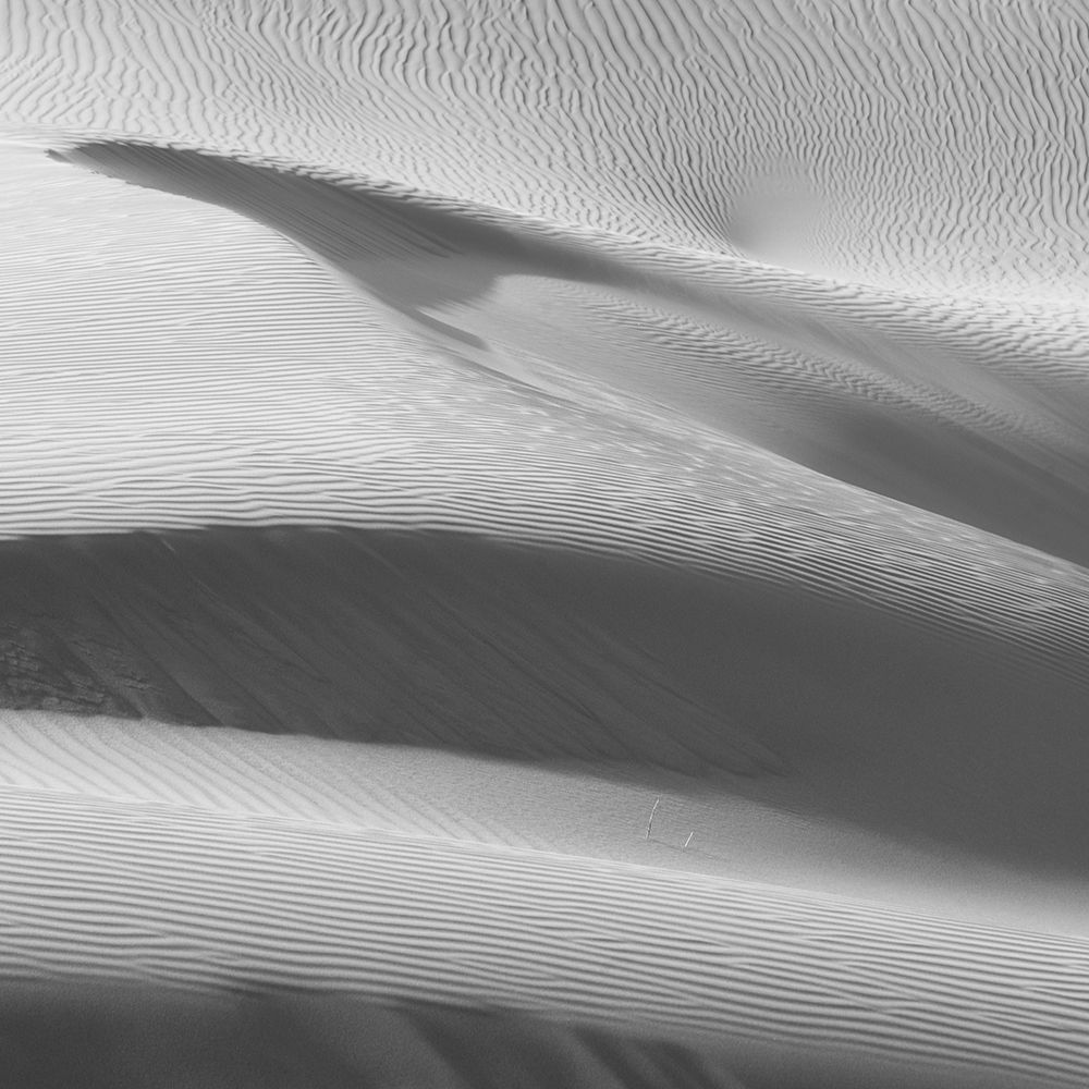 Desert Dune Waves art print by Li Xiaochun for $57.95 CAD