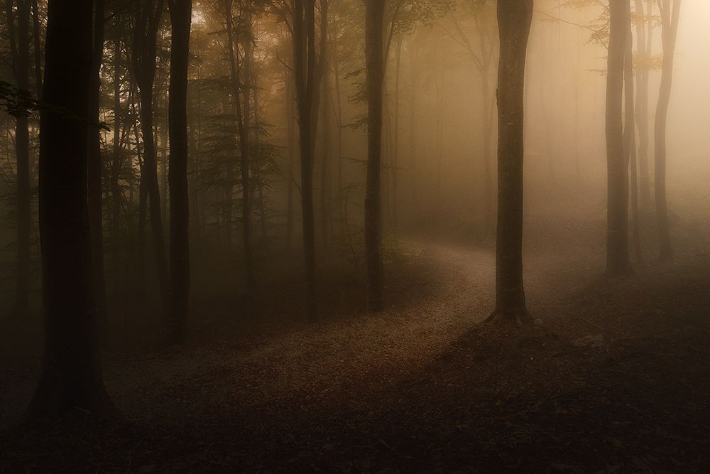 Soft Deepness art print by Filippo Manini for $57.95 CAD