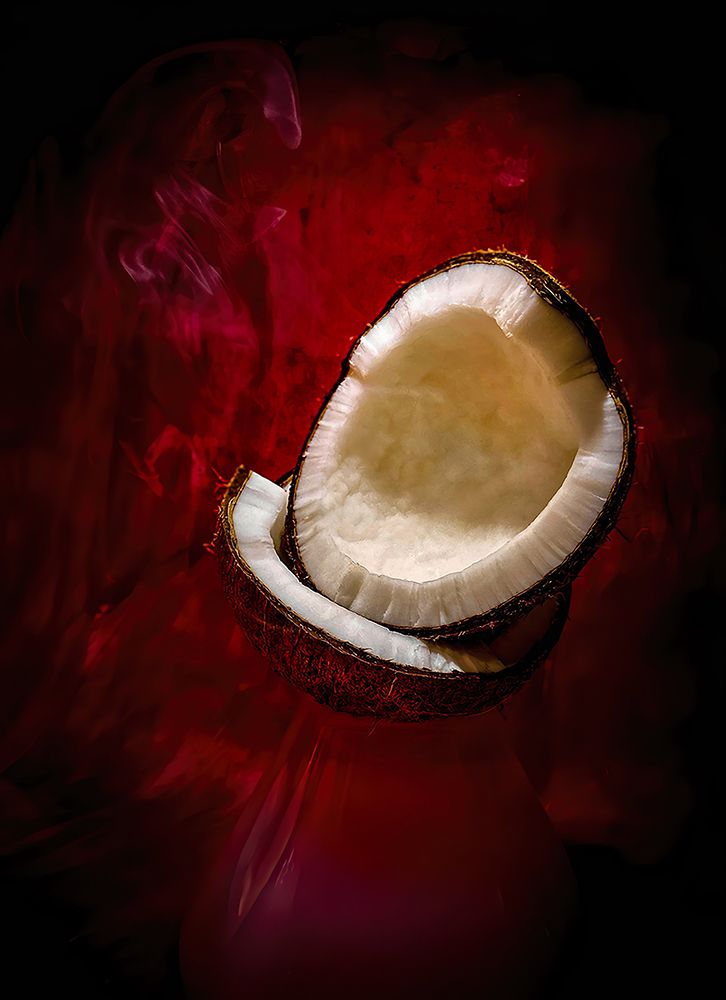 Coconut fantasy art print by Afranio Raposo for $57.95 CAD