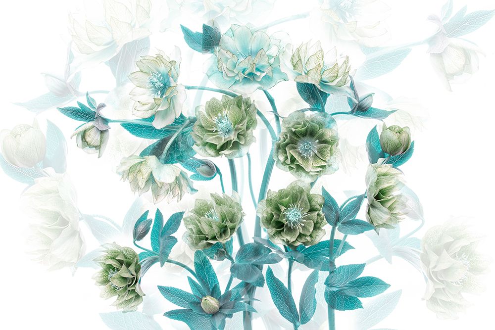 Flourishing art print by Jacky Parker for $57.95 CAD