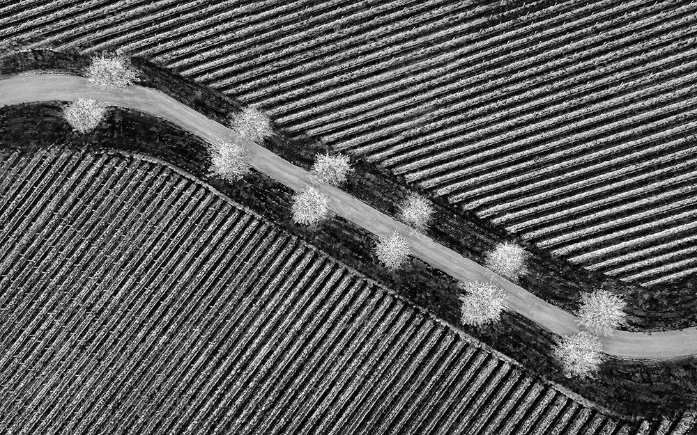 Monochrome Field Road art print by Irene Wu for $57.95 CAD