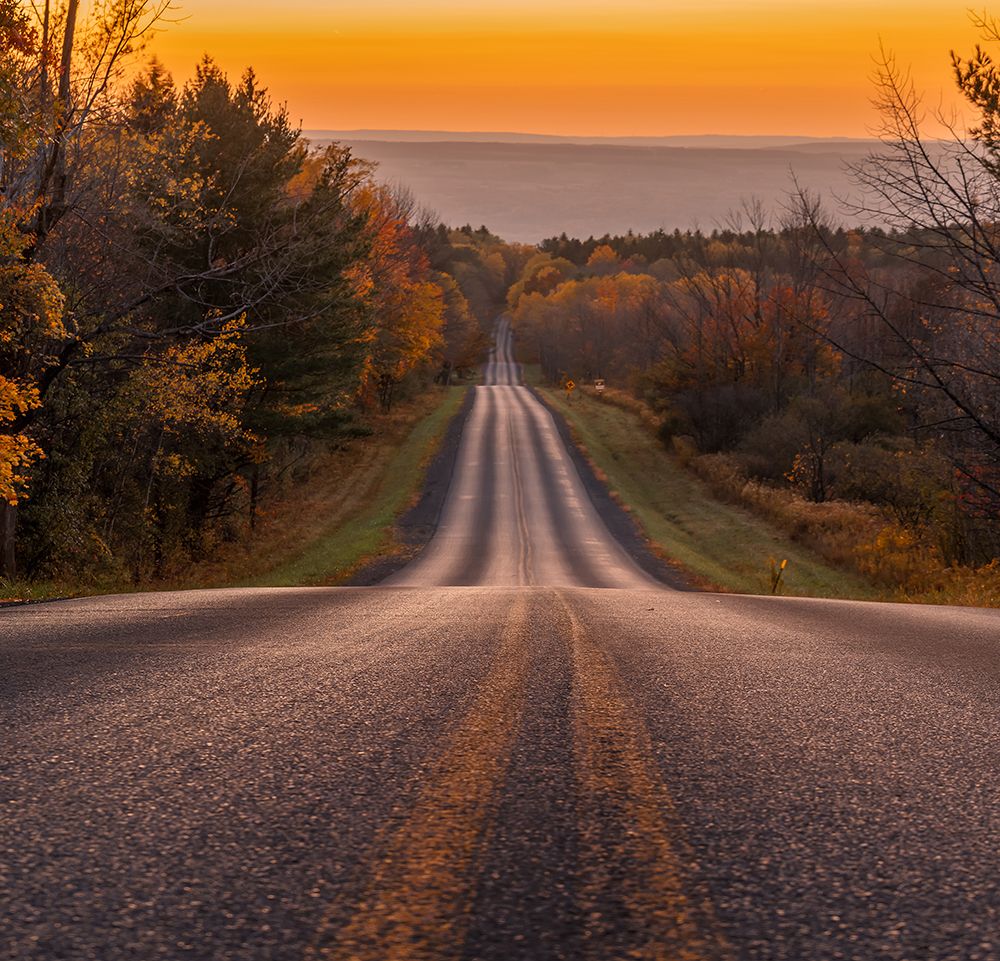 Lone Road art print by Herbert Rong for $57.95 CAD