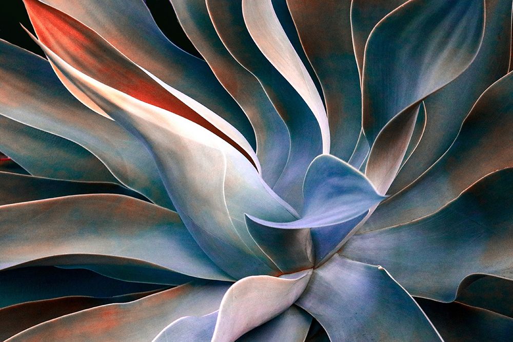 The Colors In Leaves art print by Robin Wechsler for $57.95 CAD