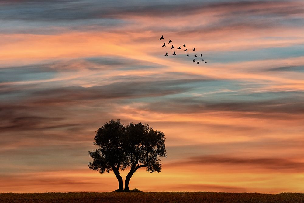 Silence Autumn art print by Eyal Bar Or for $57.95 CAD
