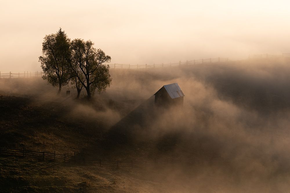 October Light art print by Sebastian Prioteasa for $57.95 CAD