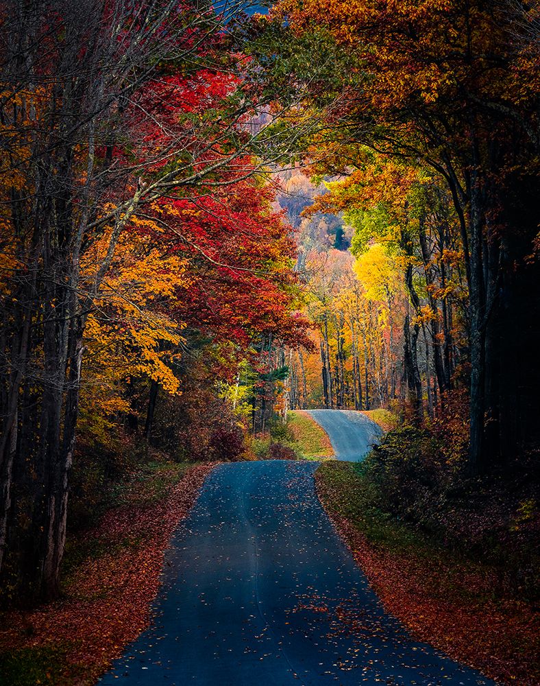 Autumn Colors by Wei Dai