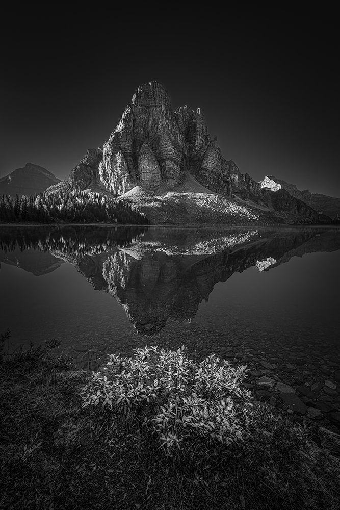 The Peak art print by TonyXu for $57.95 CAD