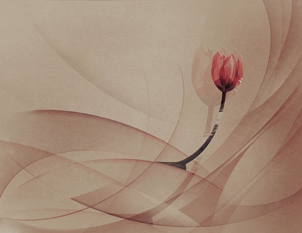 Lines art print by Desislava Ignatova for $57.95 CAD
