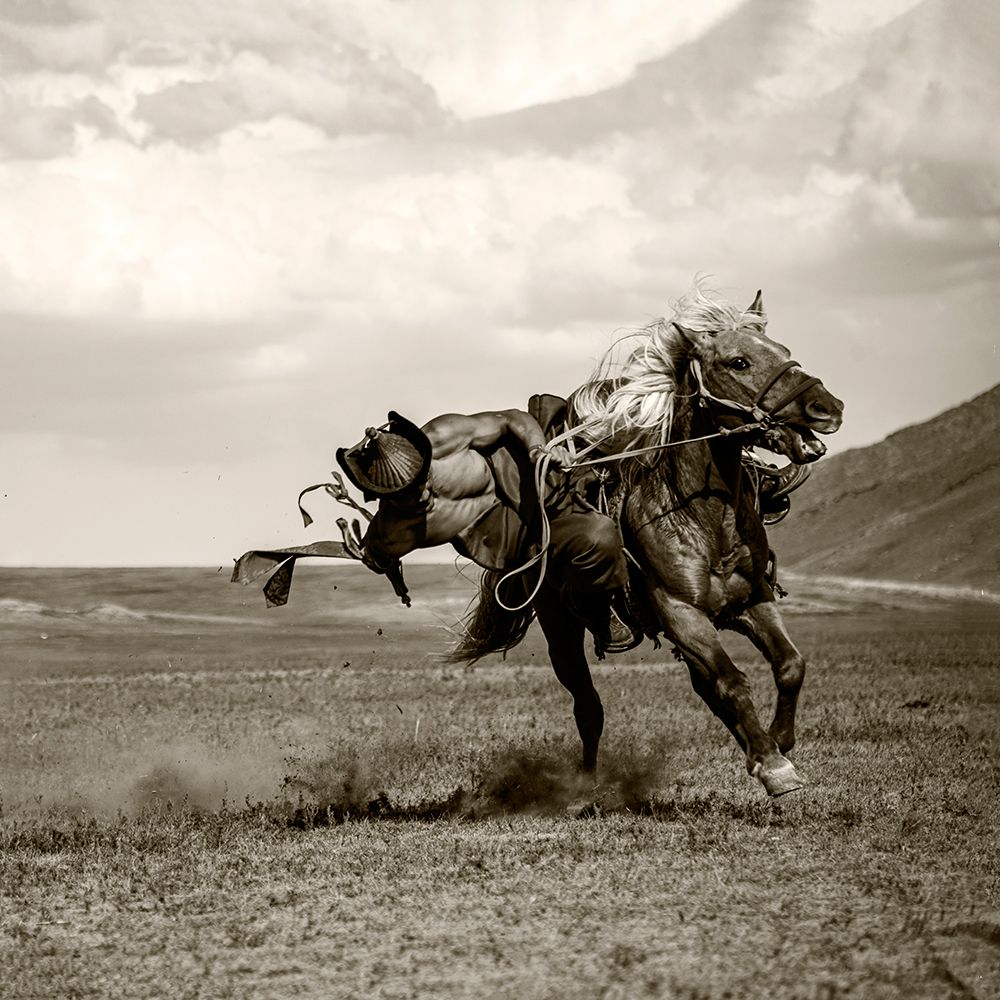 Galloping by Rachel Pansky