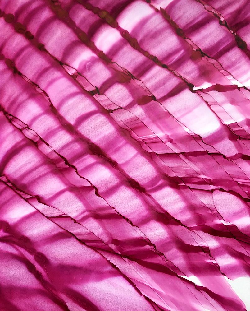 Raspberry Ripple art print by Tara Mann for $57.95 CAD