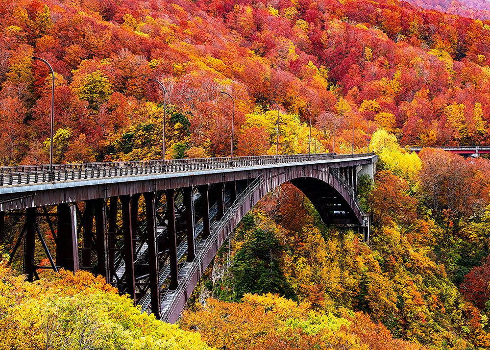 The Art Arch Bridge art print by Hidenori Sono for $57.95 CAD
