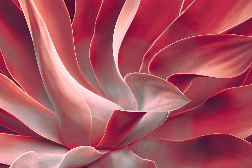Leaves Like Satin Ribbons art print by Robin Wechsler for $57.95 CAD