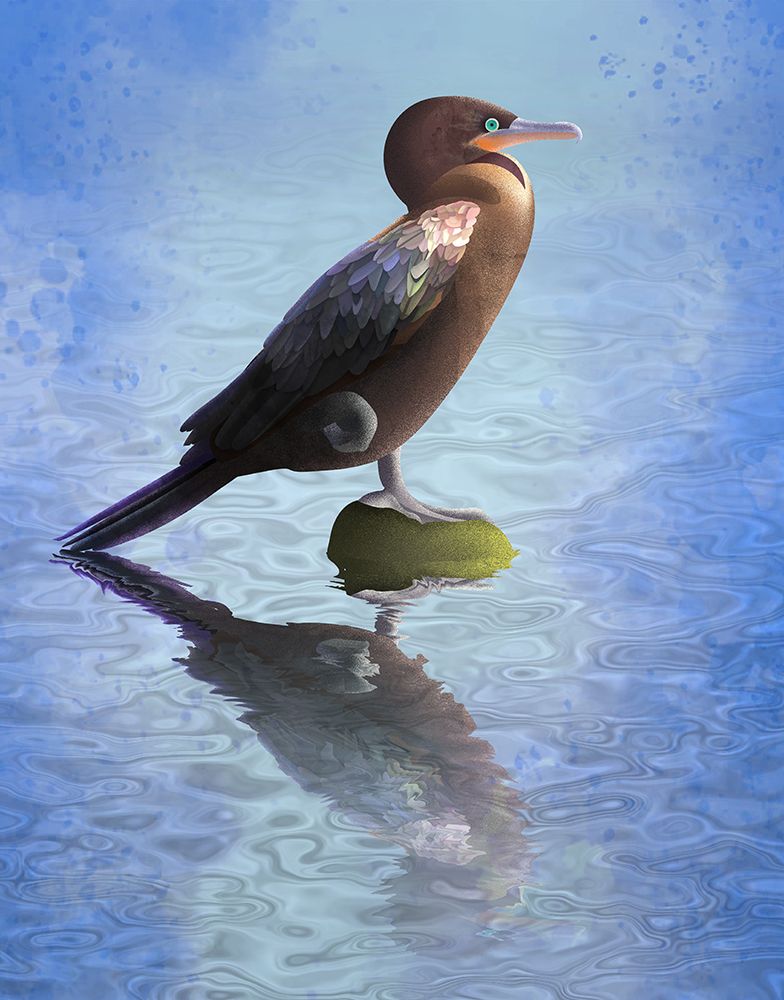 River Bigua art print by Franco Caballero for $57.95 CAD