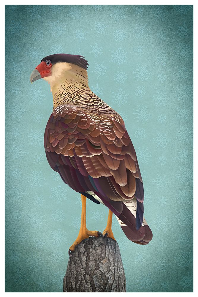 Carancho art print by Franco Caballero for $57.95 CAD