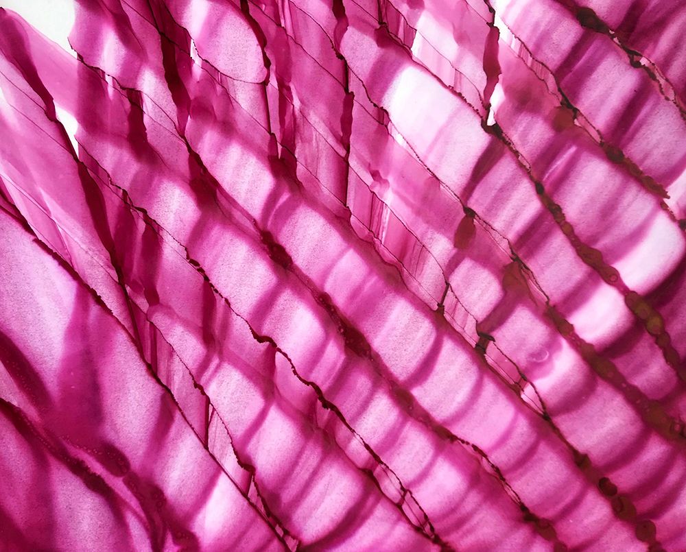 Raspberry Ripple Horizontal art print by Tara Mann for $57.95 CAD