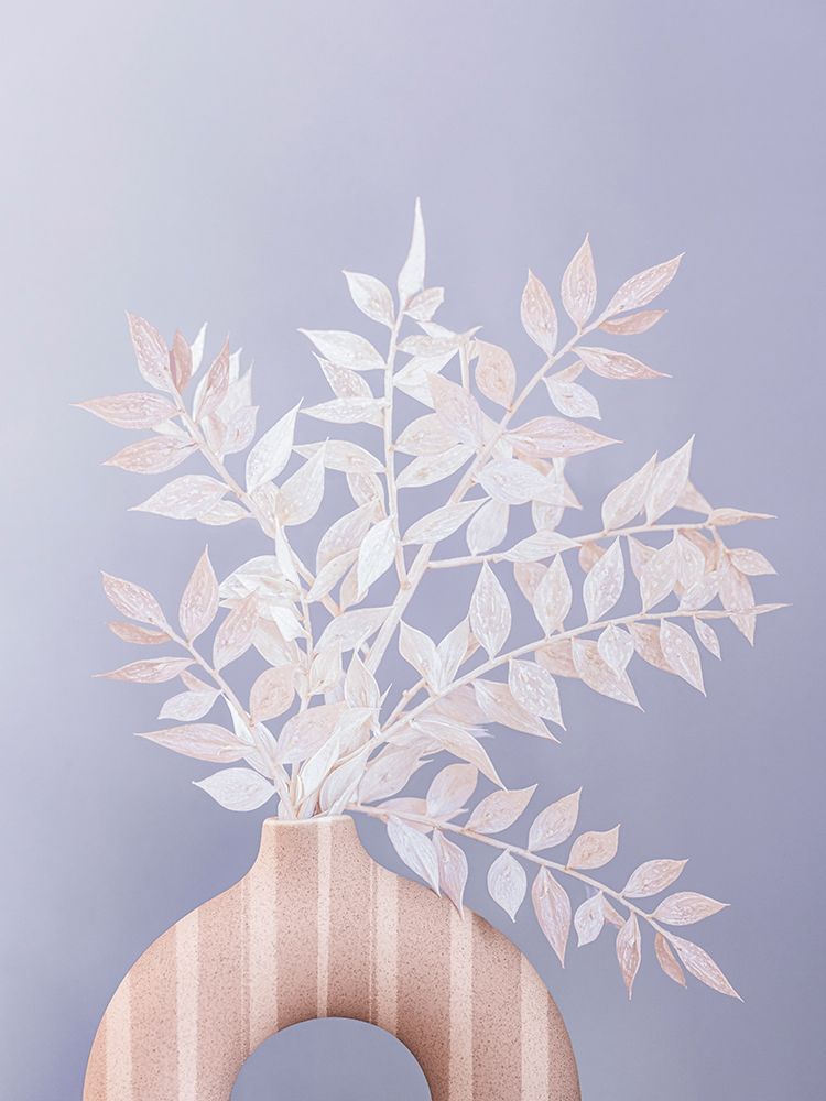 Ruscus art print by Kathrin Pienaar for $57.95 CAD