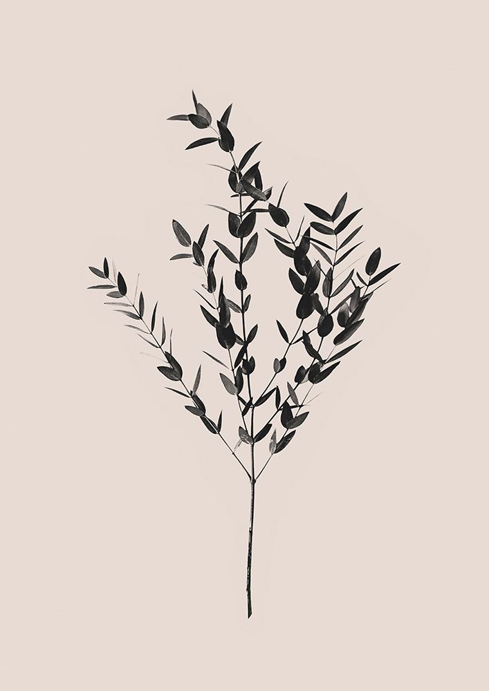 Inky Botanical art print by Kathrin Pienaar for $57.95 CAD
