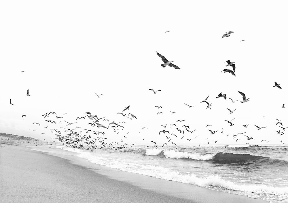 Seascape BW art print by Kathrin Pienaar for $57.95 CAD
