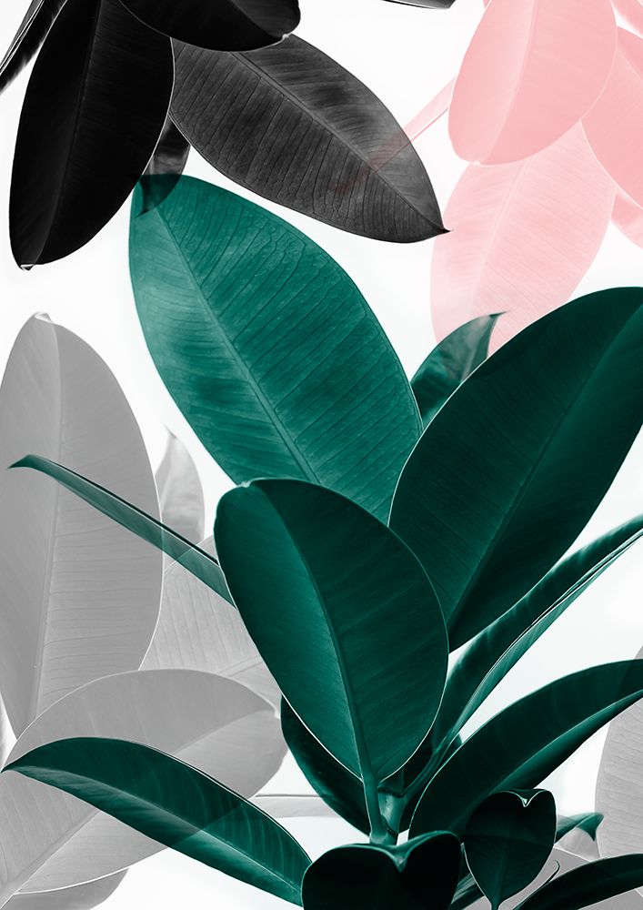 Leaf Play art print by Kathrin Pienaar for $57.95 CAD
