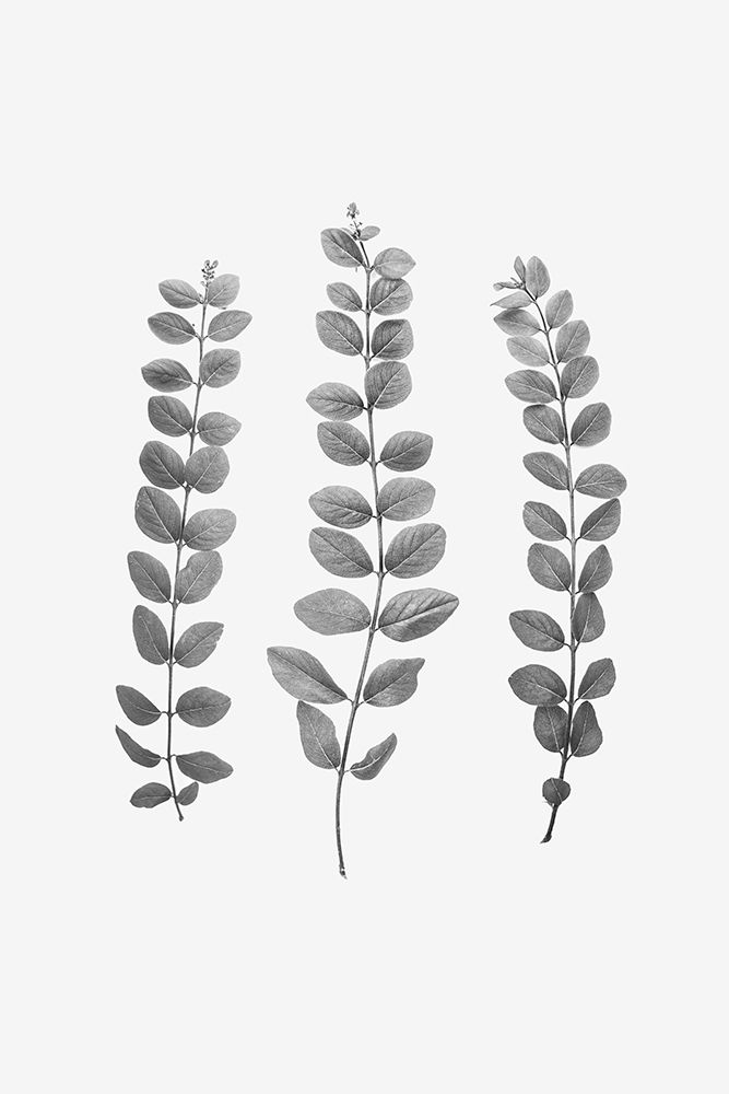 Twigs art print by Kathrin Pienaar for $57.95 CAD