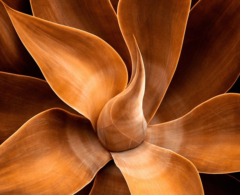 Autumn Is Golden art print by Robin Wechsler for $57.95 CAD
