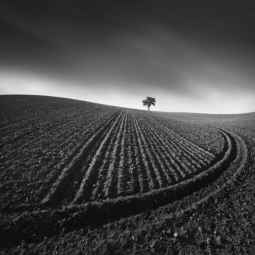 Radius art print by Tomas Tison for $57.95 CAD