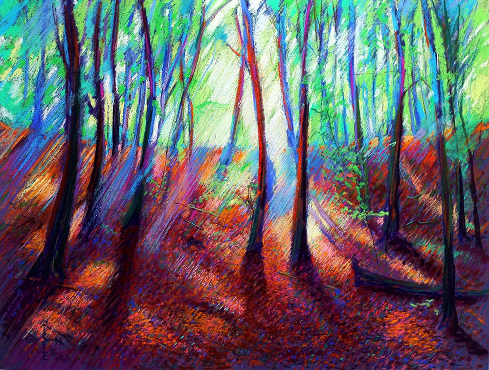 Berg en Dal 03 (2014) art print by Corne Akkers for $57.95 CAD