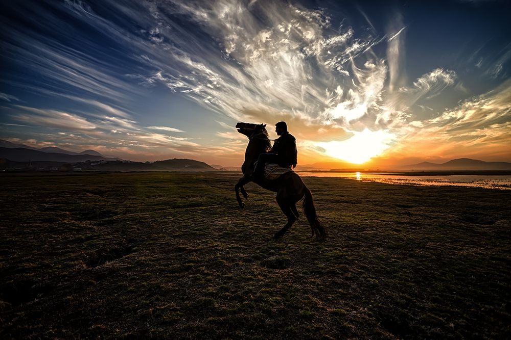 Wild Horses... art print by Merthan Kortan for $57.95 CAD