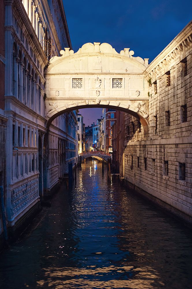 Venice By Night art print by Alla Simacheva for $57.95 CAD