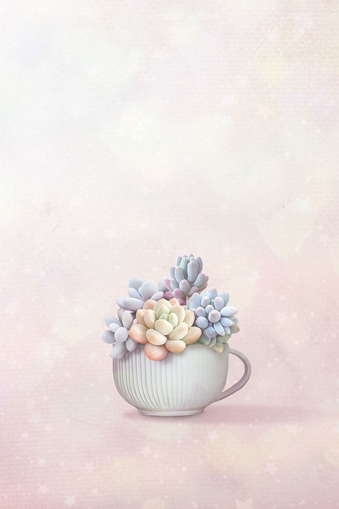 Succulent art print by Xuan Thai for $57.95 CAD