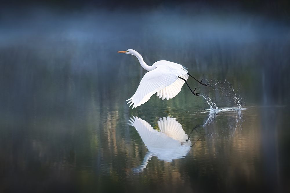 Morning Light art print by Leah Xu for $57.95 CAD