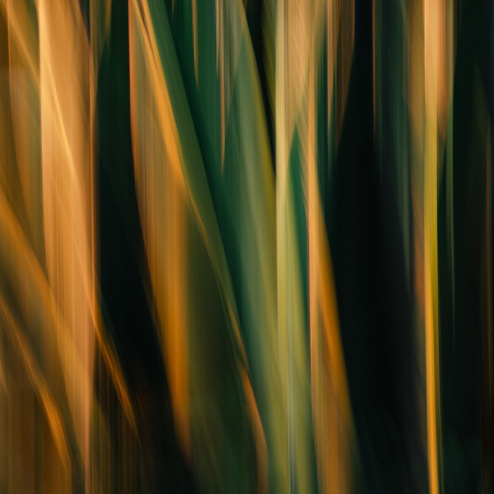 Painted Flames art print by Misaki Saito for $57.95 CAD