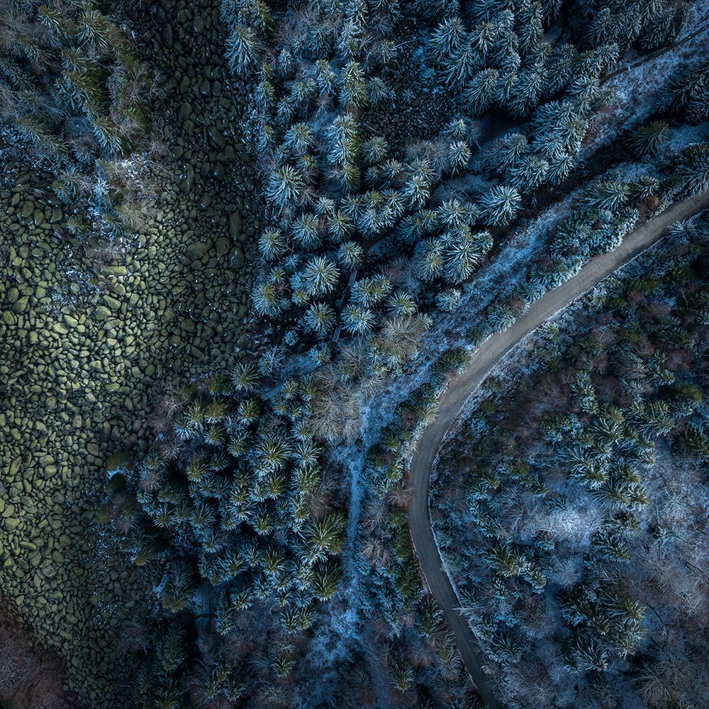 Vitosha Stone River art print by Lubomir Vladikov for $57.95 CAD